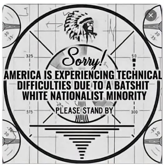 America is experiencing technical difficulties due to a batshit white nationalist minority. Please stand by.